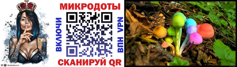 Псилоцибиновые грибы Magic Shrooms  Купить закладки  Эртиль 